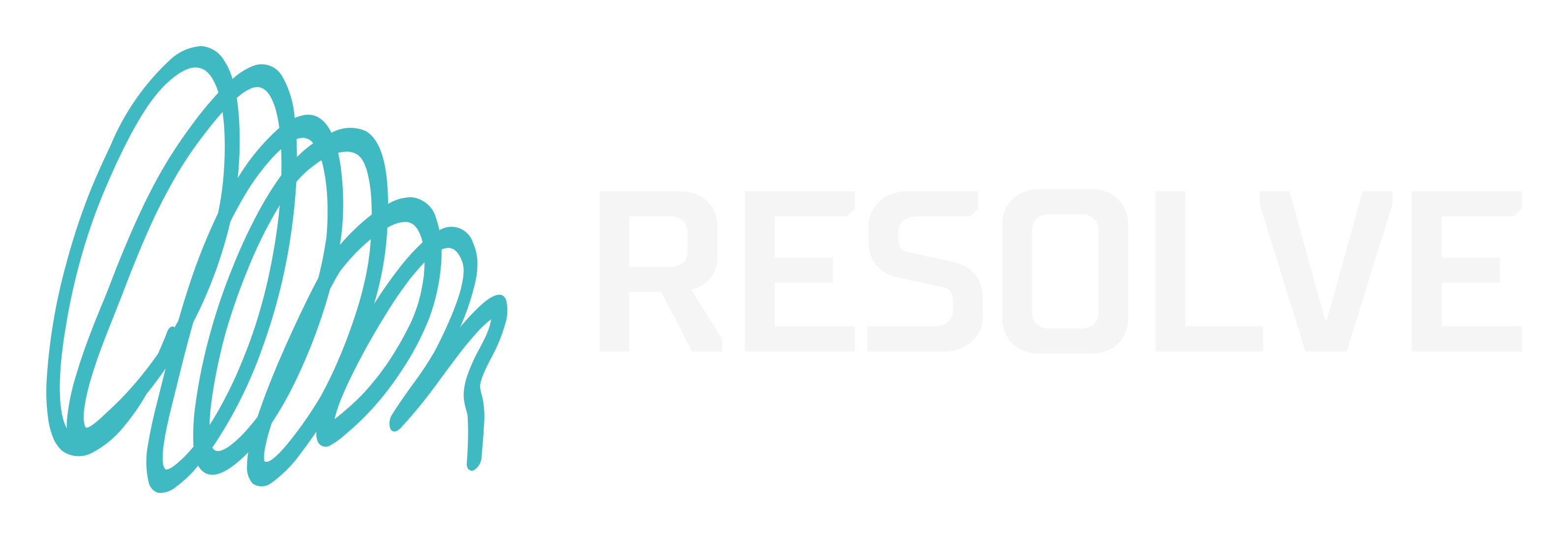Resolve International